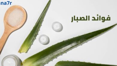 فوائد الصبار؛ صورة بها الصبار