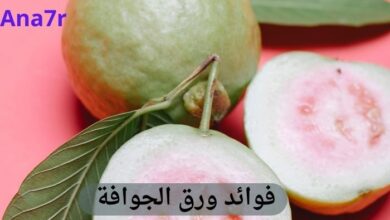 فوائد ورق الجوافة؛ صورة بها رسمة فاكهة الجوافة وورقها بخلفية لونها بينك