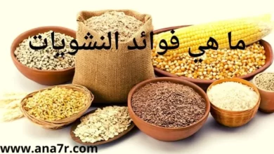 ما هي فوائد النشويات