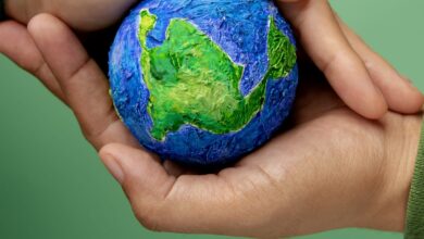 الطاقة المتجددة ومستقبلها في مصر dalilphone.com